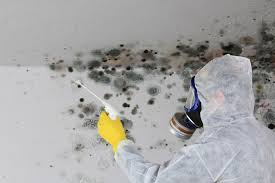 Best Industrial Mold Remediation  in Manning, SC